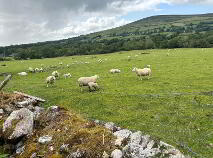 Photo 13 of Crannagh, Borris