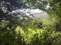 Photo 15 of Crannagh, Borris