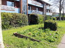 Photo 16 of 12 Jocelyn Grove, Dundalk