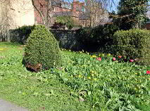 Photo 17 of 12 Jocelyn Grove, Dundalk