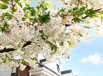 Photo 5 of 33 The Fairways, Pollerton Little, Carlow Town