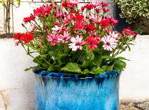 Photo 41 of 33 The Fairways, Pollerton Little, Carlow Town