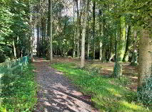Photo 16 of Furraleigh, Kilmacthomas