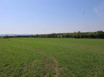 Photo 17 of C.8.48 Ha Longfordpass, Urlingford, Longfordpass, Thurles