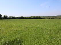 Photo 12 of C.8.48 Ha Longfordpass, Urlingford, Longfordpass, Thurles