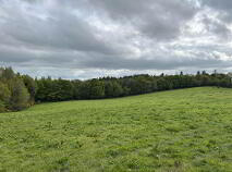 Photo 2 of Deerpark, Mountrath