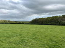 Photo 6 of Deerpark, Mountrath