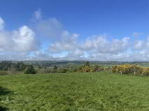 Photo 13 of Scart, Ballinamult