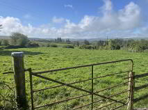 Photo 12 of Scart, Ballinamult
