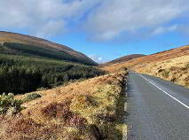 Photo 16 of Scart, Ballinamult