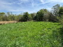Photo 4 of Coohey, Ballybay