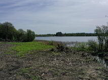 Photo 7 of Mohill Rd, Keshcarrigan