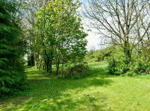 Photo 28 of Duntryleague, Garryspillane, Kilmallock