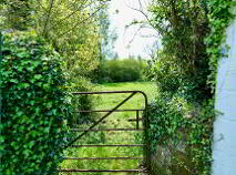 Photo 26 of Duntryleague, Garryspillane, Kilmallock