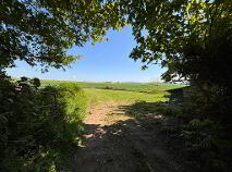 Photo 13 of Moancrea, Grange, Ardfinnan, Clonmel