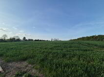 Photo 7 of Rathmore, Tullow