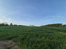 Photo 1 of Rathmore,,, Tullow,