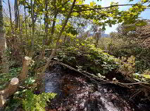 Photo 37 of Mountanglesby, Clogheen, Cahir, Co. Tipperary