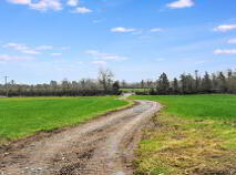 Photo 10 of Deerpark, Charleville