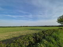 Photo 11 of Kilkea Upper, Kilkea, Castledermot