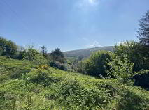 Photo 8 of Curreeney, Kilcommon, Thurles