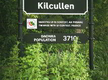 Photo 4 of C.17.56 Ha. (, 43.63 Acres), Kilcullen, Kildare