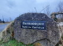 Photo 32 of Barnacogue, Swinford