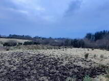 Photo 36 of Barnacogue, Swinford