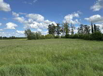 Photo 13 of Ballagh, Errill, Portlaoise