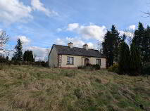 Photo 17 of Boley, Bawnboy