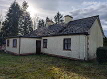 Photo 16 of Boley, Bawnboy