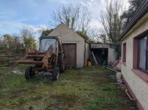 Photo 18 of Boley, Bawnboy