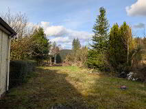 Photo 19 of Boley, Bawnboy
