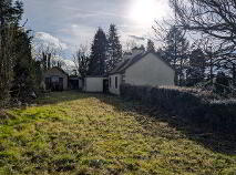 Photo 20 of Boley, Bawnboy