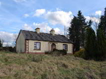 Photo 3 of Boley, Bawnboy