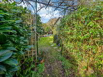 Photo 30 of Baden Hills House, Fossa, Killarney