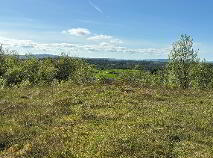 Photo 3 of Carrowdotia, Barefield