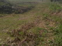 Photo 1 of Knocknagorthna, Athea