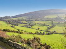 Photo 6 of 2, Killeen, Ballinaclough, Nenagh