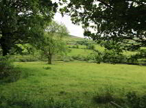 Photo 14 of 1, & 2, Killeen, Ballinaclough, Nenagh
