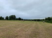 Photo 1 of 24 Round Bales Of Hay, Nenagh