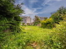 Photo 18 of 5 Old Lucan Road, Palmerstown, Dublin