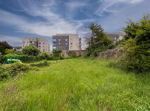 Photo 16 of 5 Old Lucan Road, Palmerstown, Dublin