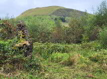 Photo 27 of Glackbaun, Calry