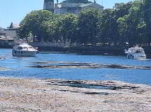 Photo 21 of 15 Marine View, Athlone