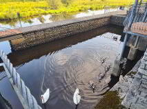 Photo 21 of Apartment 55 Leitrim Marina, Main Street, Leitrim Village, Carrick-On-Shannon