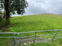 Photo 5 of Derelict Cottage On 8 Acres, Raferagh, Carrickmacross