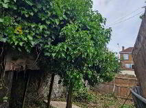 Photo 5 of Corner Le Vere Terrace & Harolds Cross Road, 6w, Dublin