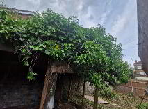 Photo 6 of Corner Le Vere Terrace & Harolds Cross Road, 6w, Dublin