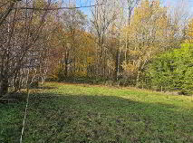 Photo 31 of Drumeela, Carrigallen